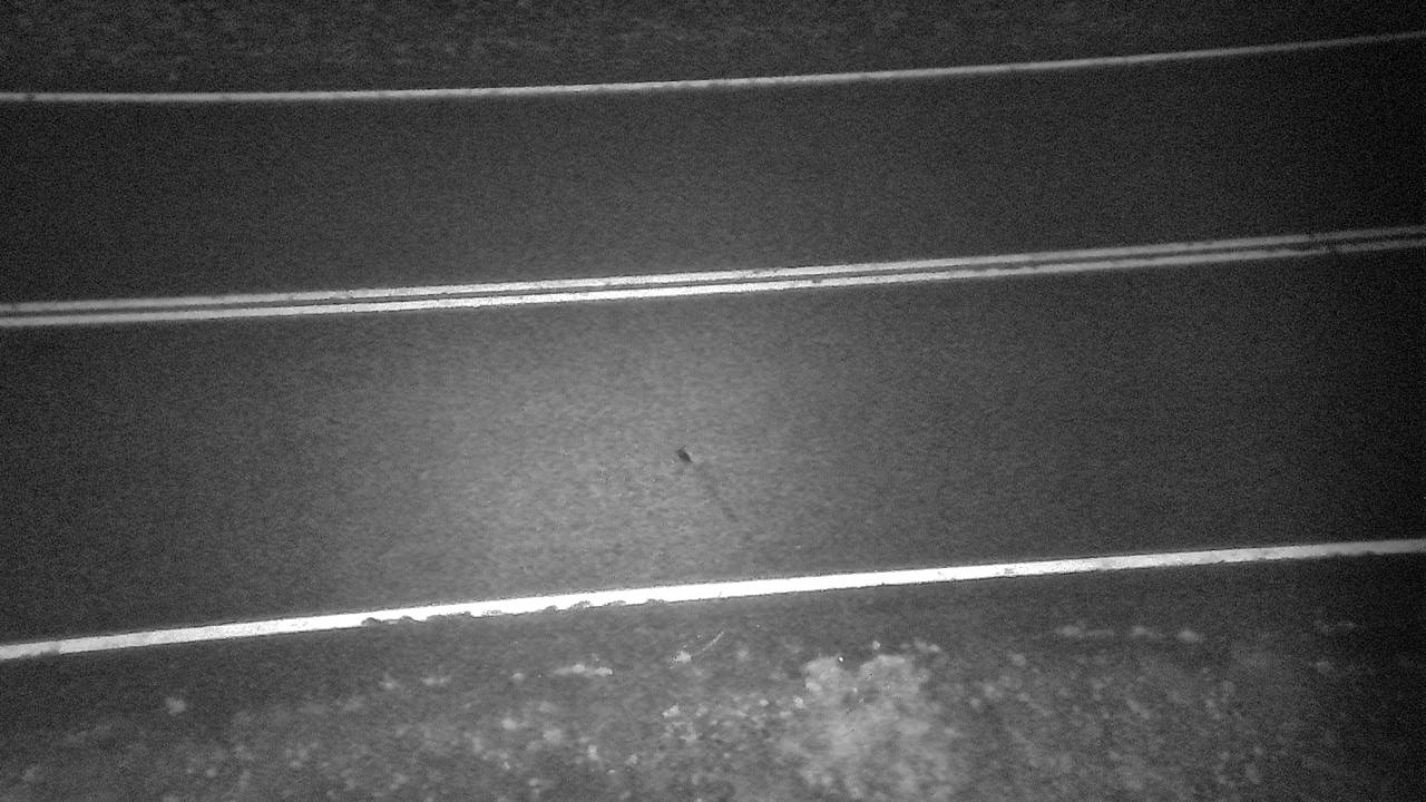 Road surface, elev. 3,320 ft traffic camera, Prairie County