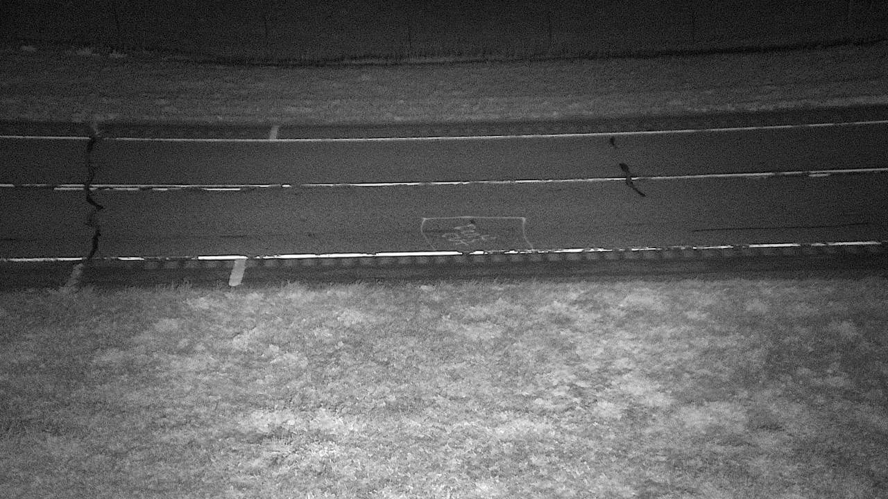 Road surface, elev. 3,350 ft traffic camera, Powder River County