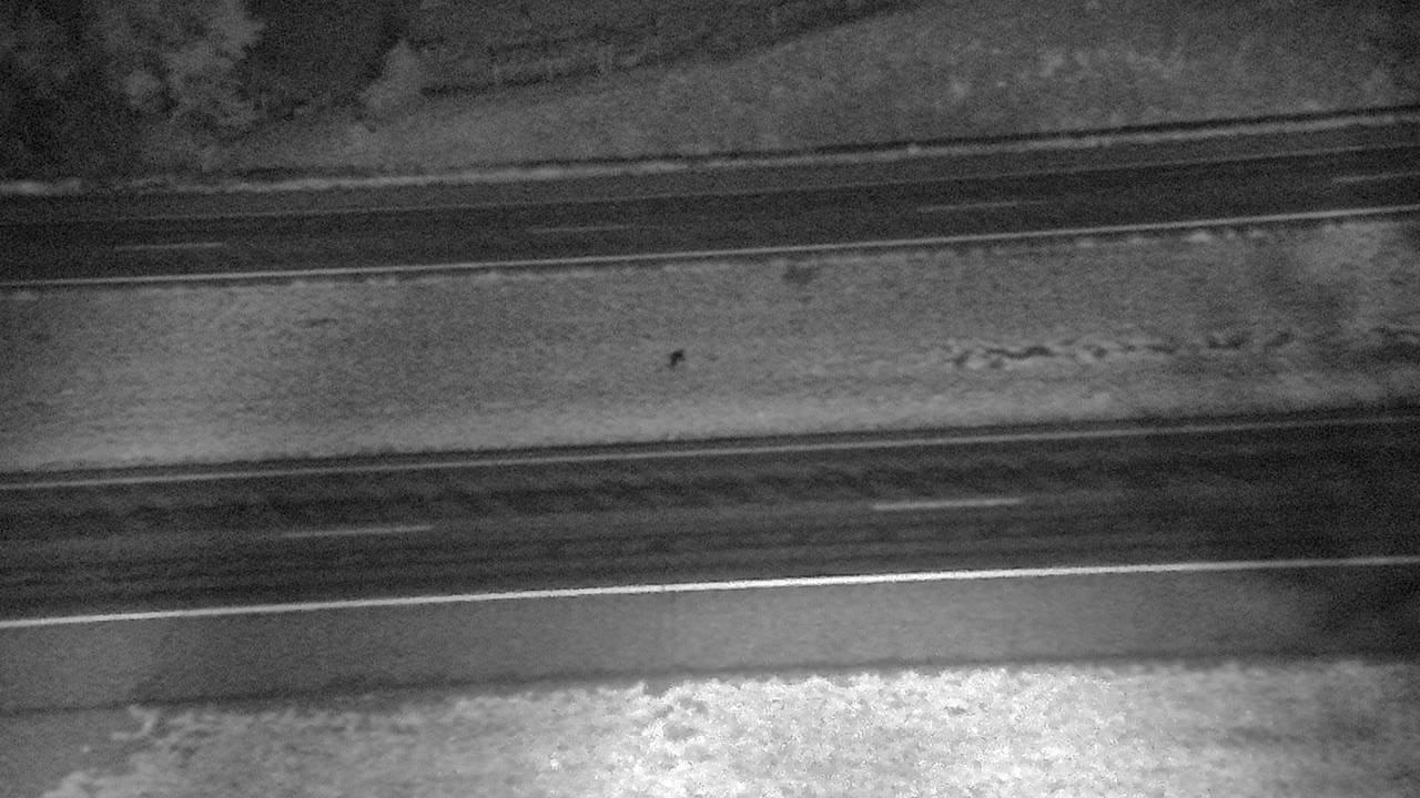 Road surface, elev. 4,580 ft traffic camera, Park County