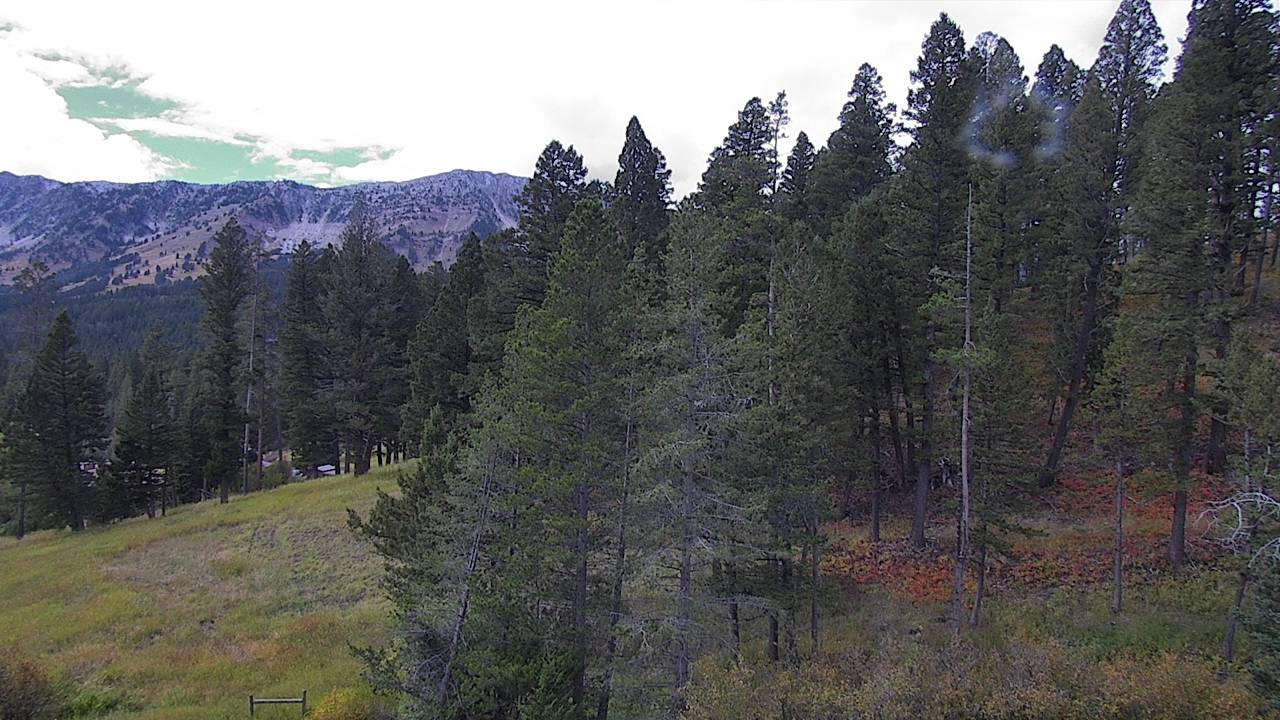 Bridger Canyon - West Horizon Elev 6090 road camera