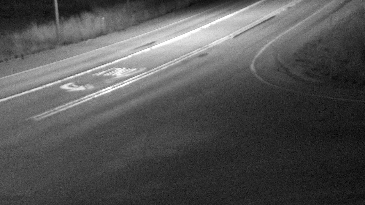 Elmo - Roadway Elev 2940 road camera
