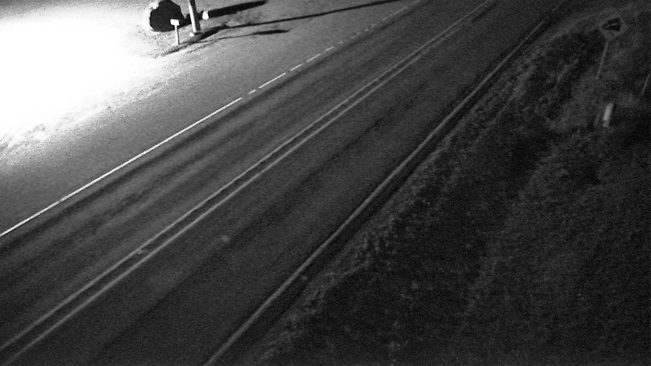 MT-35 & Yellow Bay traffic camera, Bear Dance
